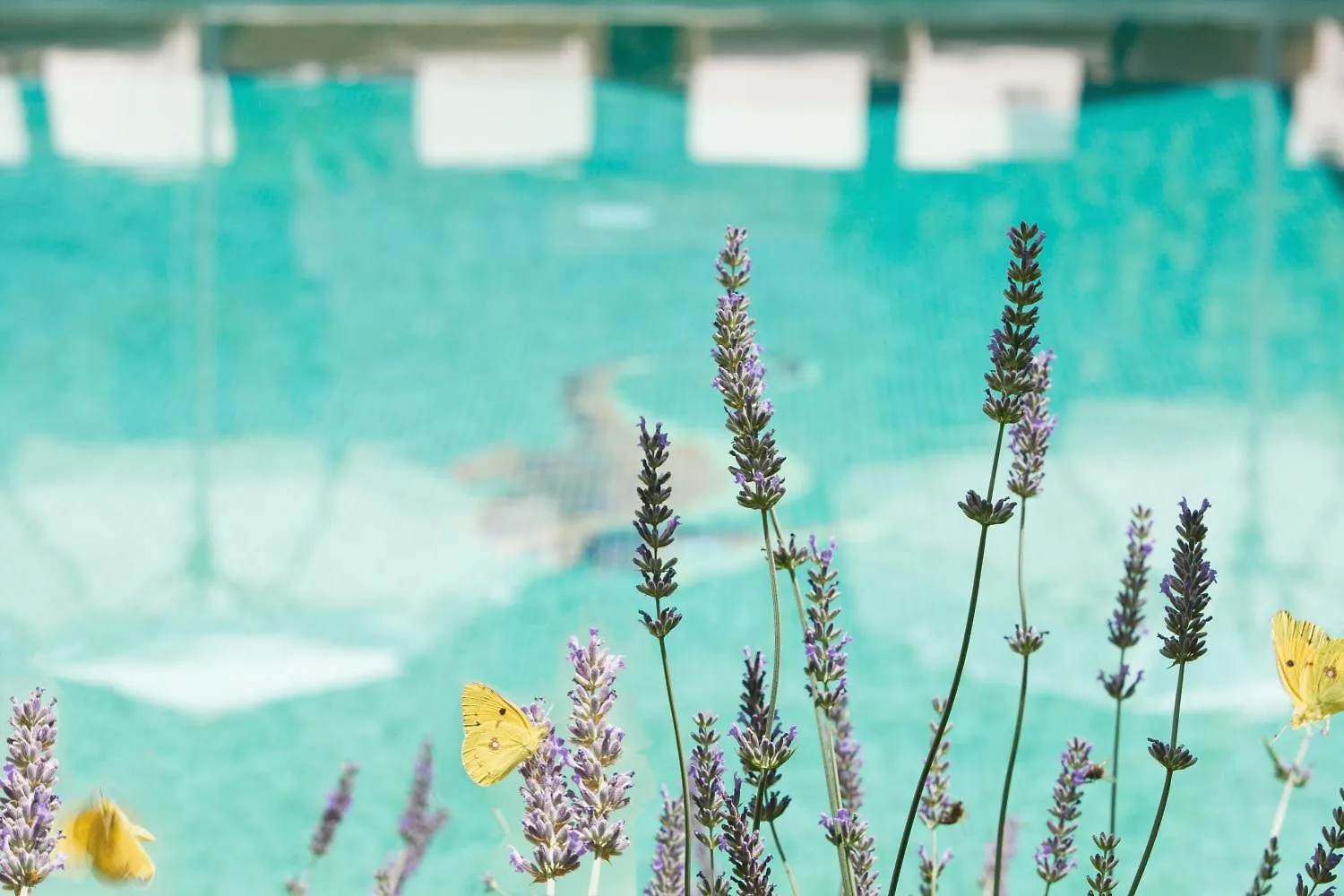 Hotel Apartament Sa Tanqueta De Fornalutx - Adults Only Spain